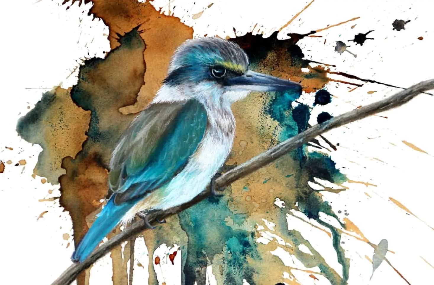 Kingfisher without border